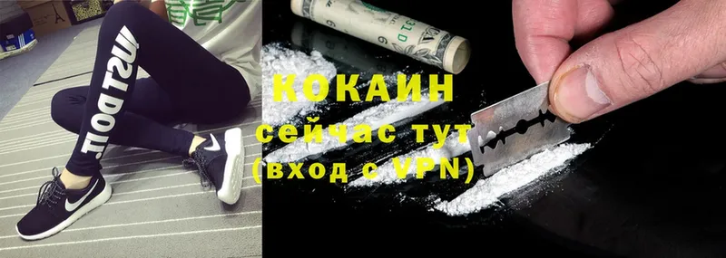 купить закладку  Ноябрьск  COCAIN FishScale 